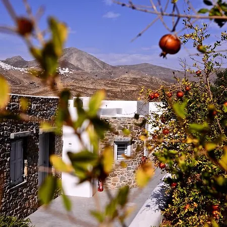 ρίζες Ξενοδοχείο με διαμερίσματα 3*
